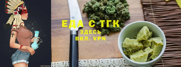 дживик Бородино