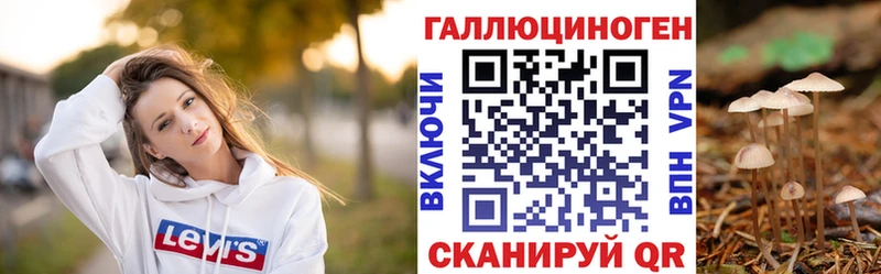 гидра ссылки  Кемь  Псилоцибиновые грибы Psilocybe 